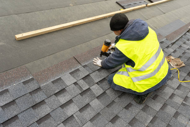 Best Metal Roofing Contractor  in O, MI