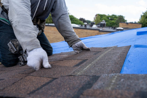 Best Roof Maintenance Services  in O, MI