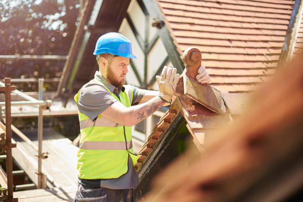 Professional Roofing Contractor in Mio, MI