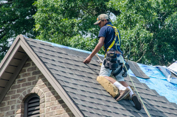 Best Shingle Roofing Installation  in O, MI